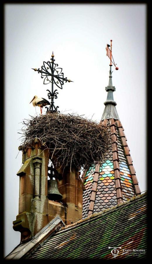 Gite Edelweiss A Eguisheim Exterior foto